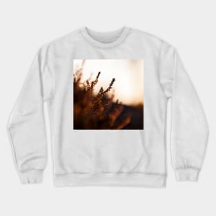 Calluna Crewneck Sweatshirt